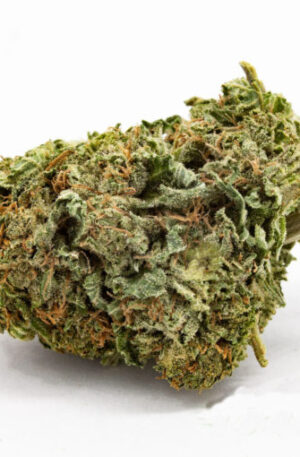 BUY  GOD BUD STRAIN ONLINE